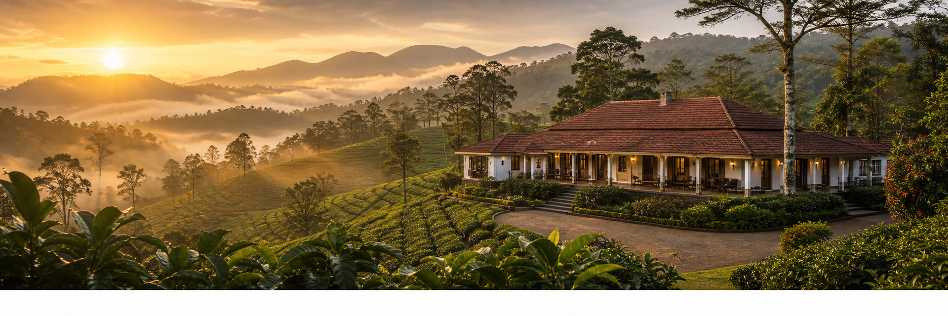 Luxury Wellness Resorts in Chikmagalur & Sakleshpur | Gladwin International